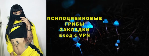 МДМА Осинники